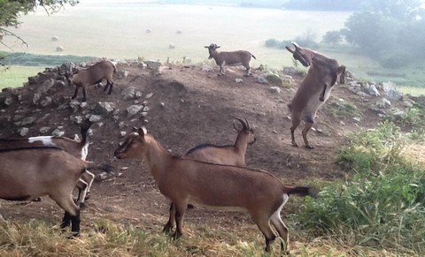 Hébergement insolite 